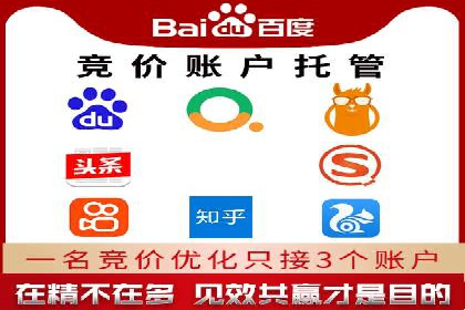 某行业竞价推广的挑战与机遇——多案例研究